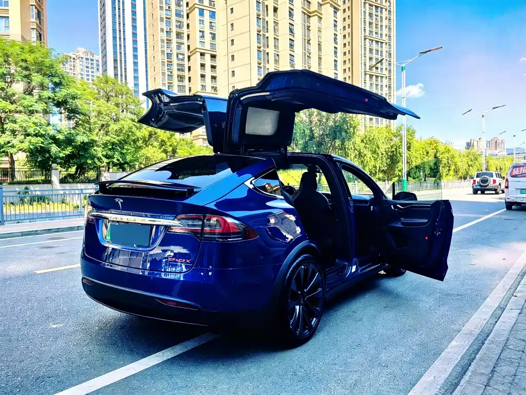 Tesla Model X — миниатюра 7