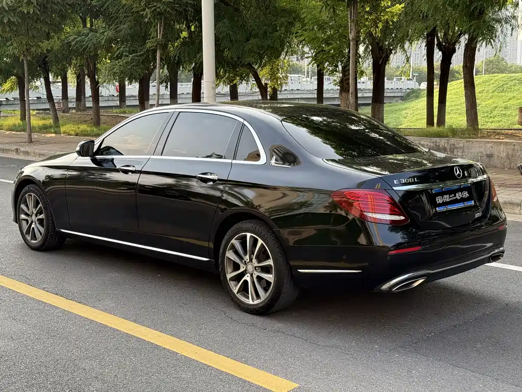 Mercedes-Benz E-Class E 300 L Luxury Type, фото 9