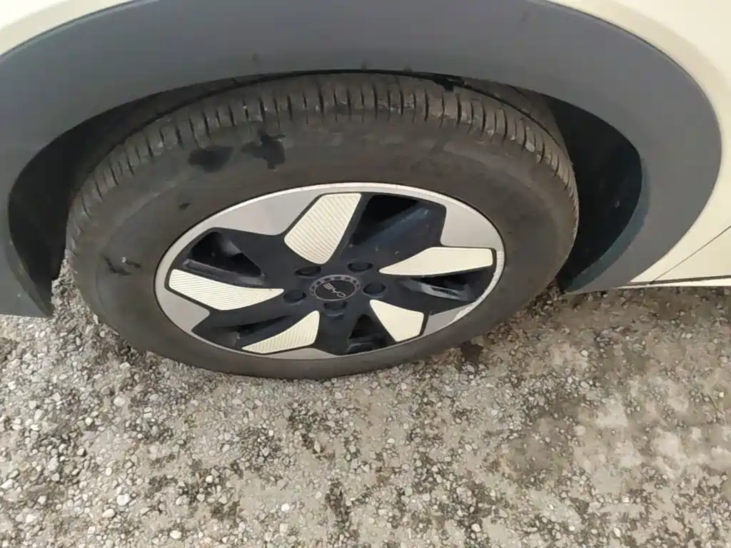 BYD Dolphin — миниатюра 23