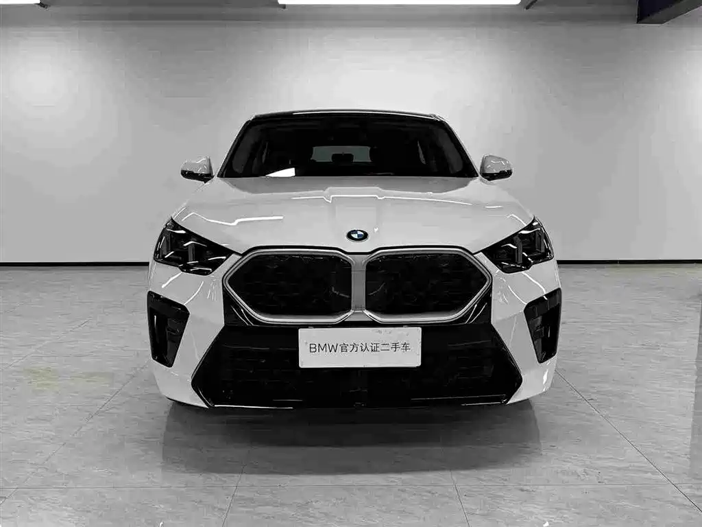 BMW X2 (Import) — миниатюра 2