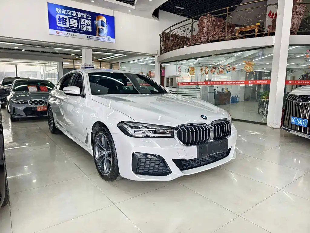 BMW 5 Series New Energy — миниатюра 2