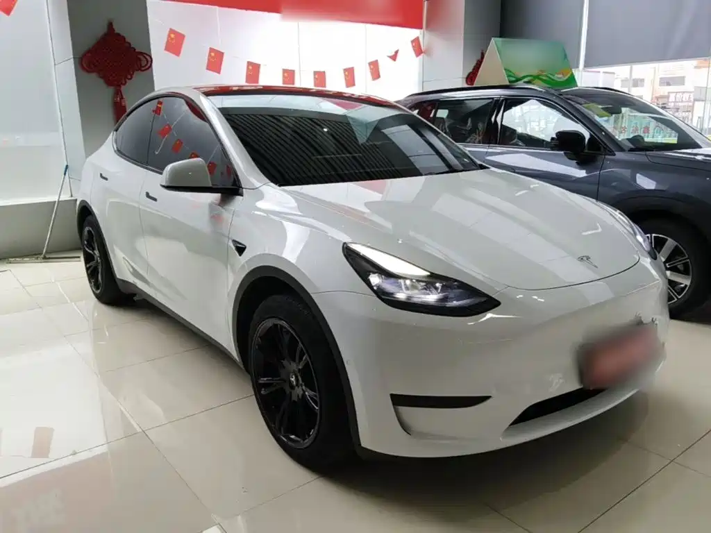 Tesla Model Y — миниатюра 4