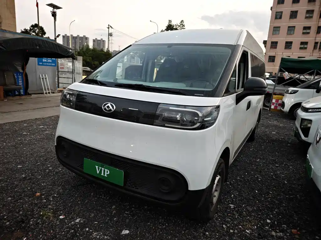 MAXUS V1L