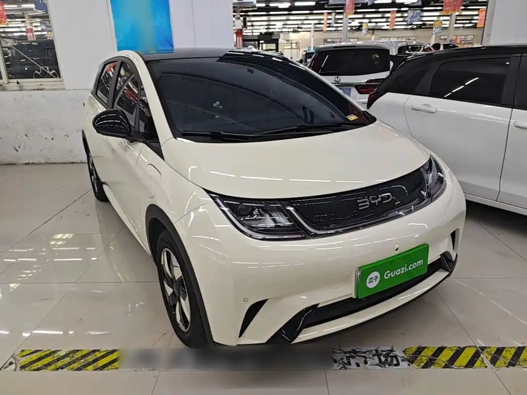 BYD Dolphin — миниатюра 4