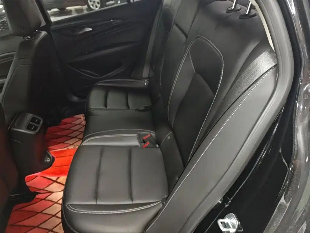 Buick Regal — миниатюра 17