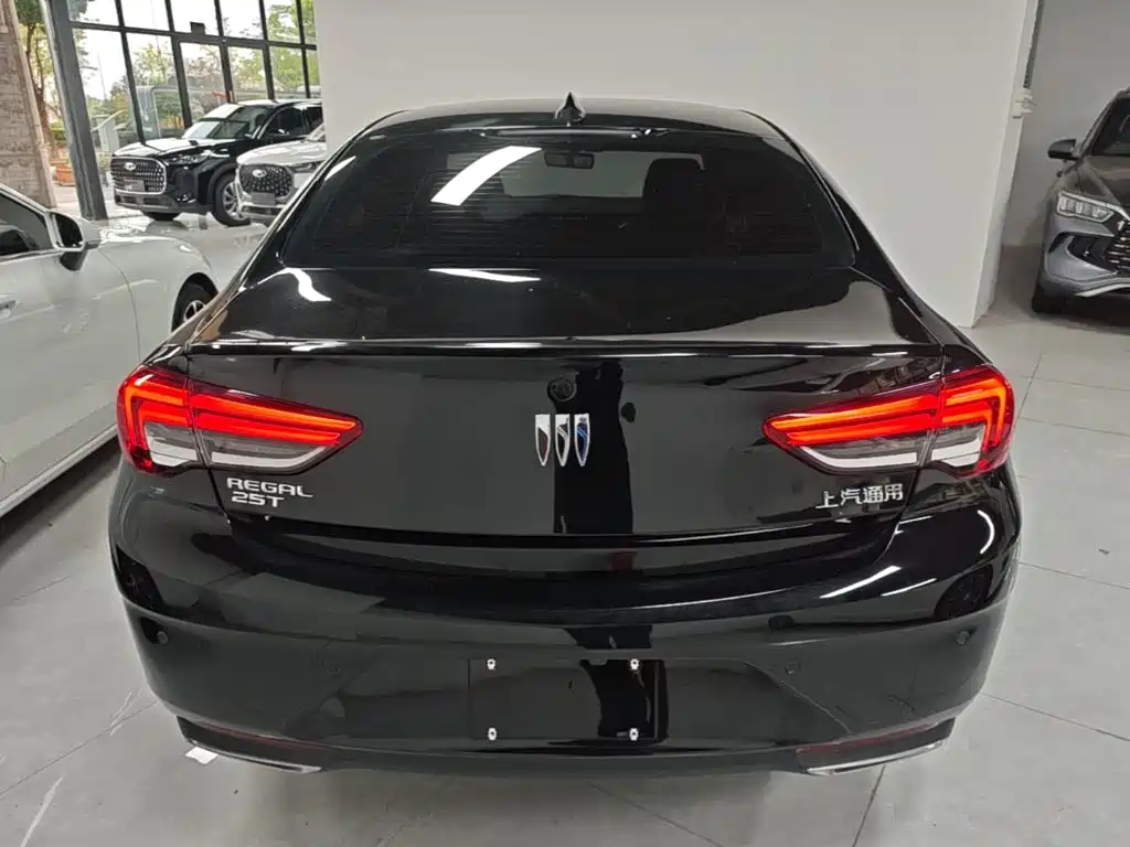Buick Regal — миниатюра 6