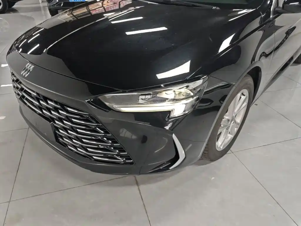 Buick Regal — миниатюра 24
