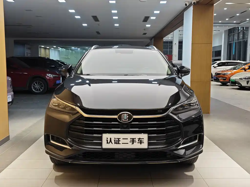 BYD Tang 2019 2.0T AT 7 мест VI
