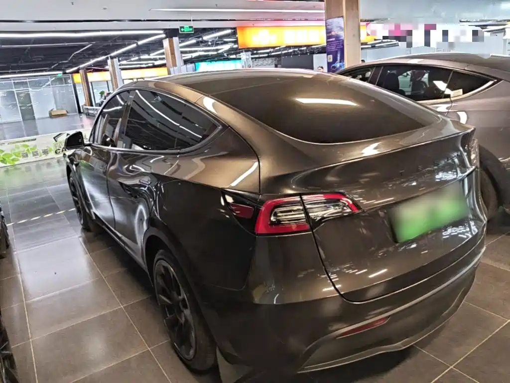 Tesla Model Y — миниатюра 5