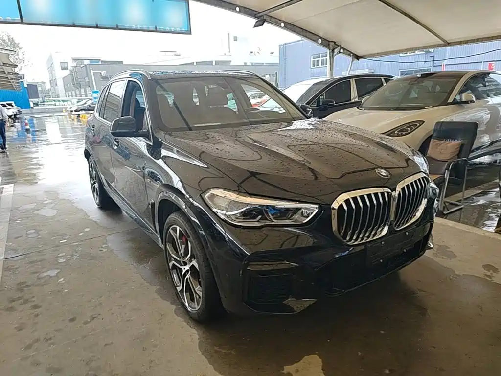 BMW X5 — миниатюра 4