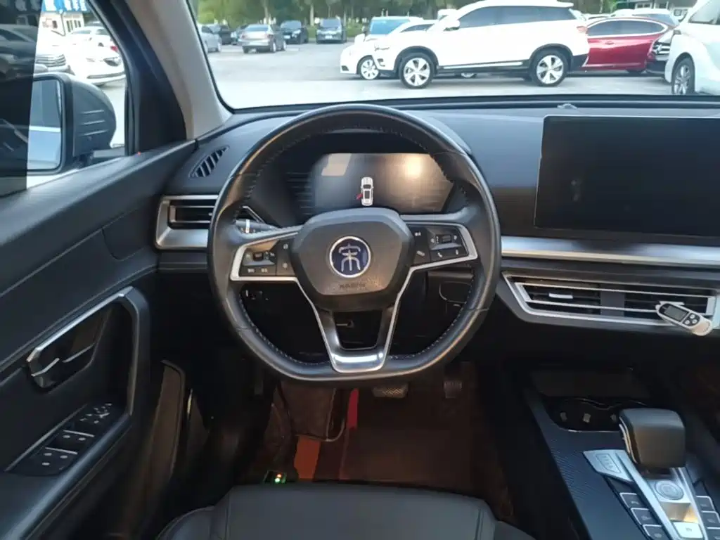 BYD Pro — миниатюра 11
