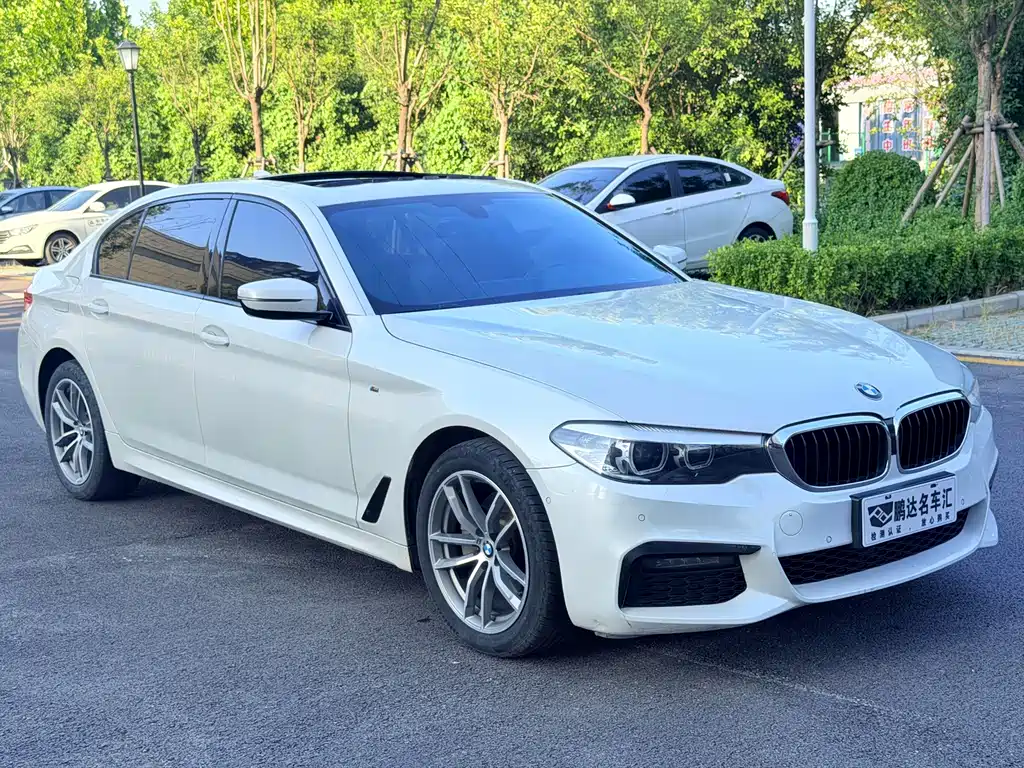 BMW 5 Series — миниатюра 3