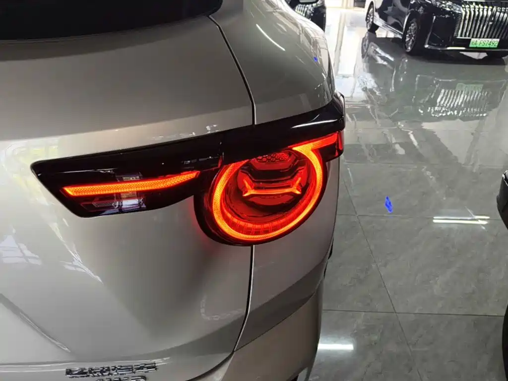 Haval Big Dog PLUS — миниатюра 8