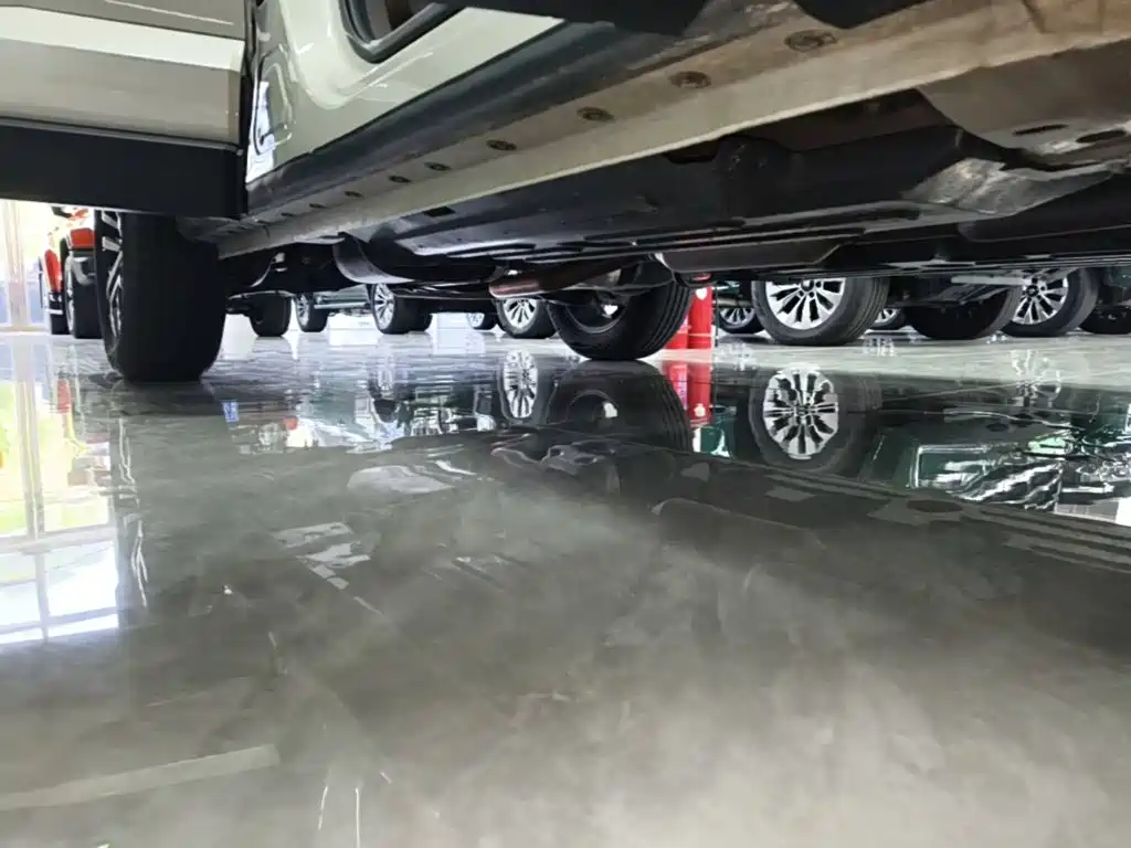 Haval Big Dog PLUS — миниатюра 21