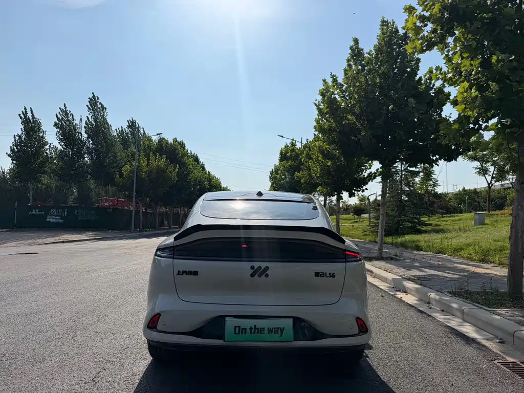 IM IM LS6 — миниатюра 8