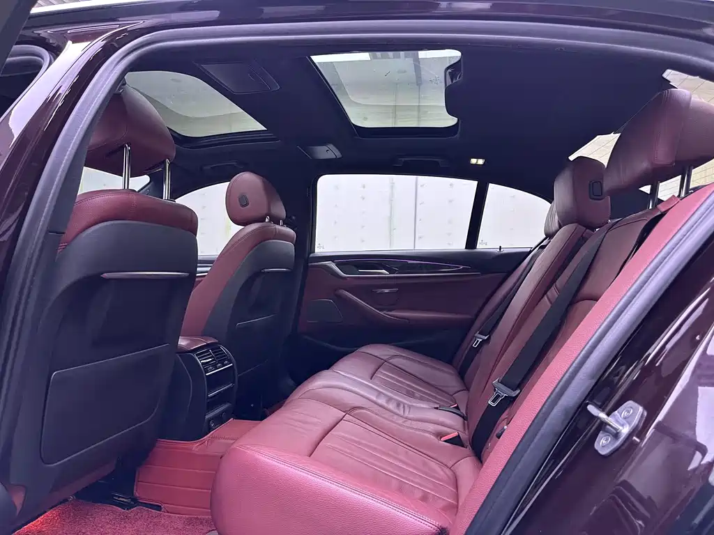 BMW 5 Series 5 2019 530Li Lead M Sport