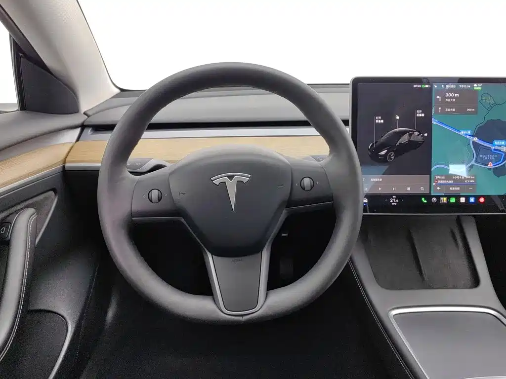 Tesla Model 3 — миниатюра 11