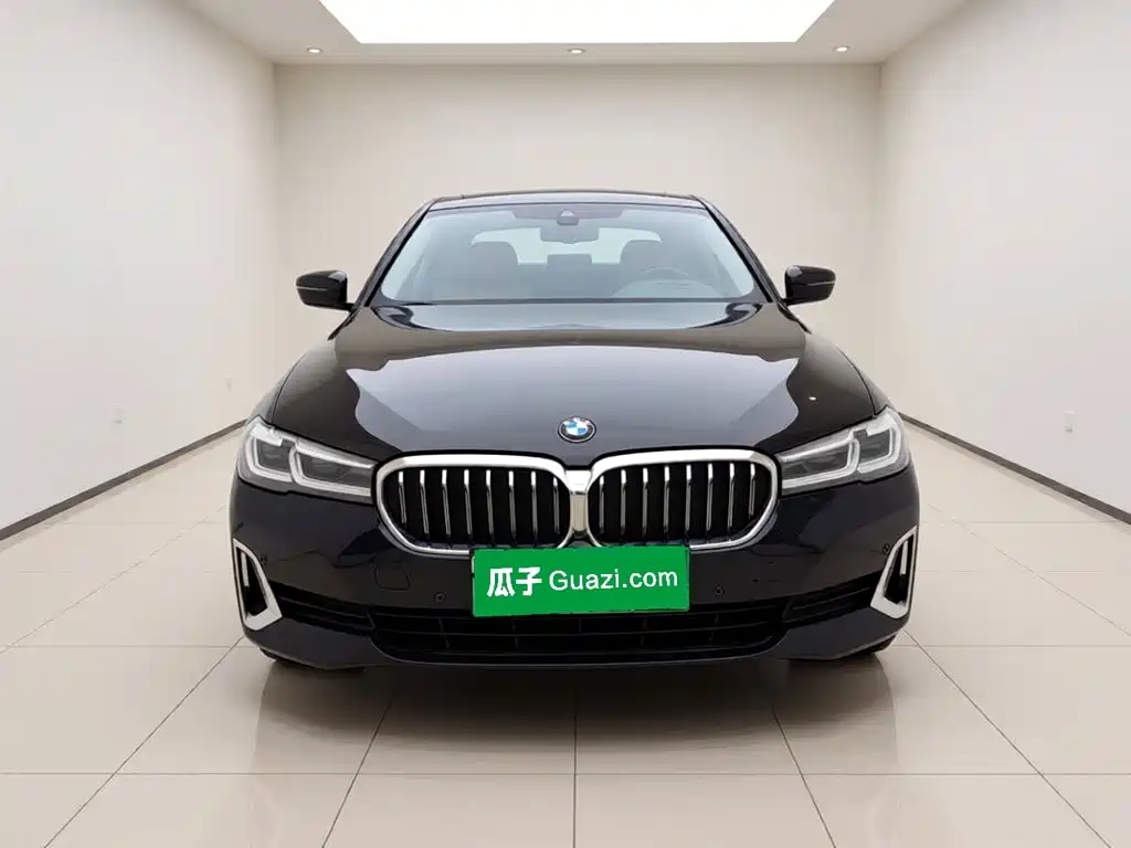 BMW 5 Series New Energy — миниатюра 2