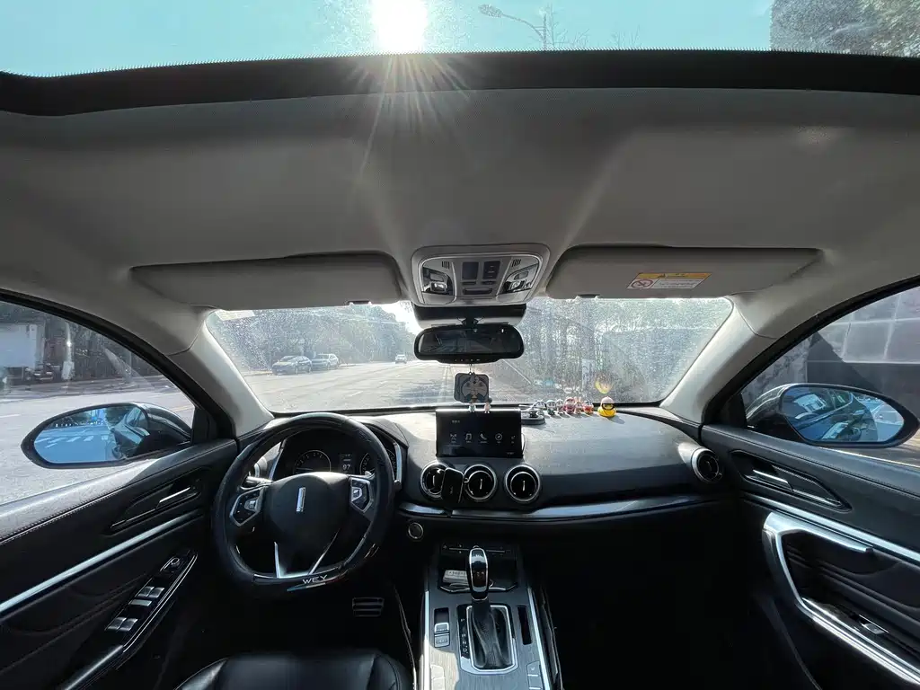 WEI PAI WEI BRAND VV5