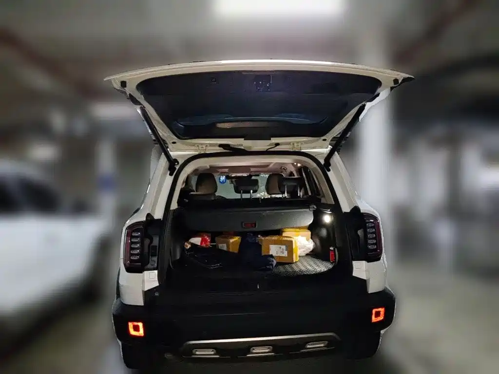 Haval Big Dog — миниатюра 10