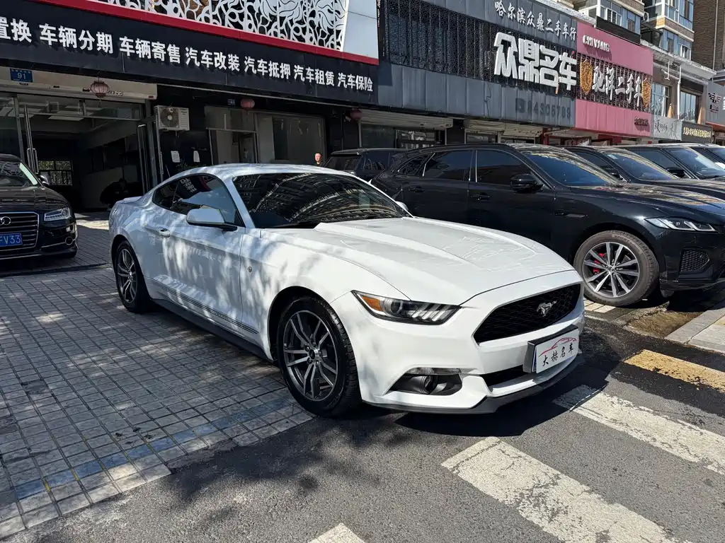 Ford Mustang — миниатюра 3