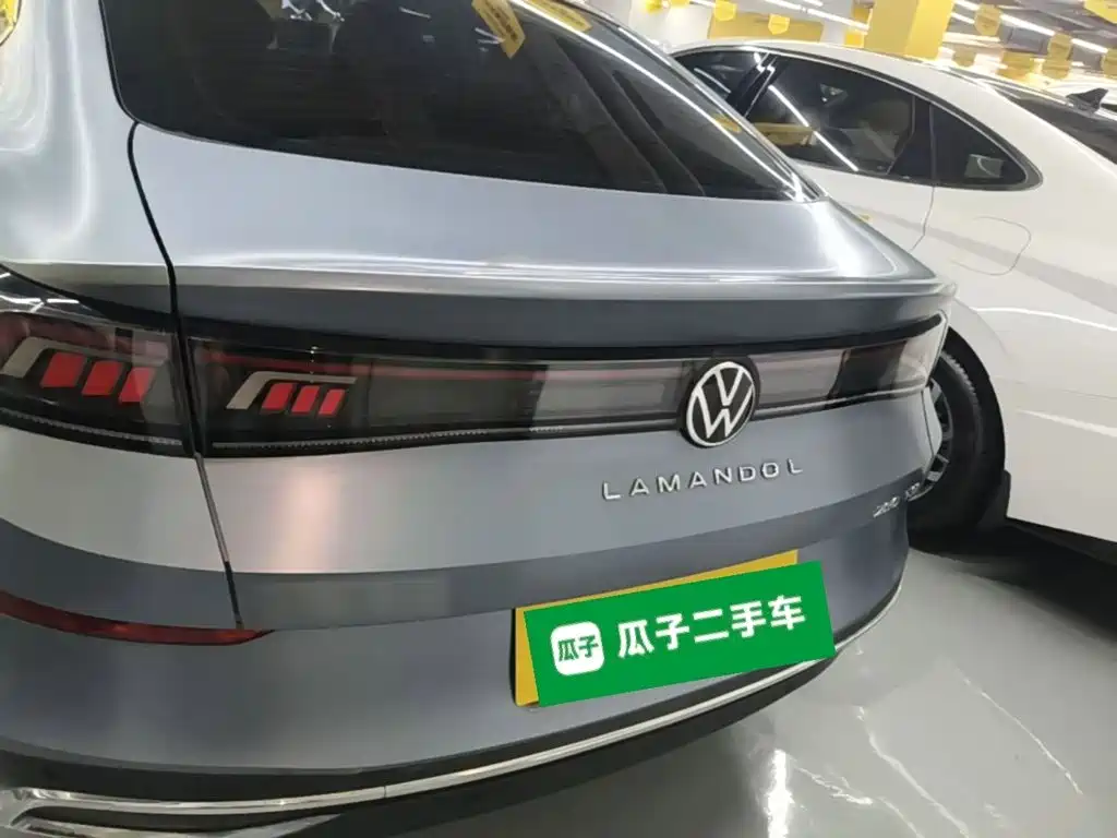 Volkswagen Lamando — миниатюра 6