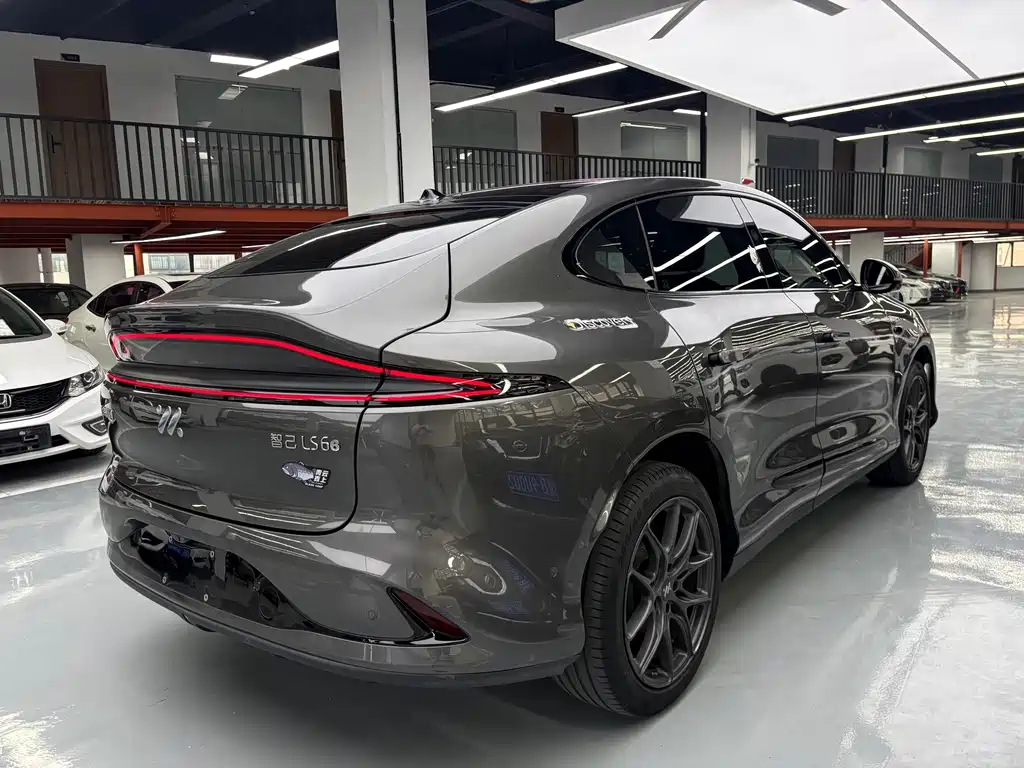 IM IM LS6 — миниатюра 19
