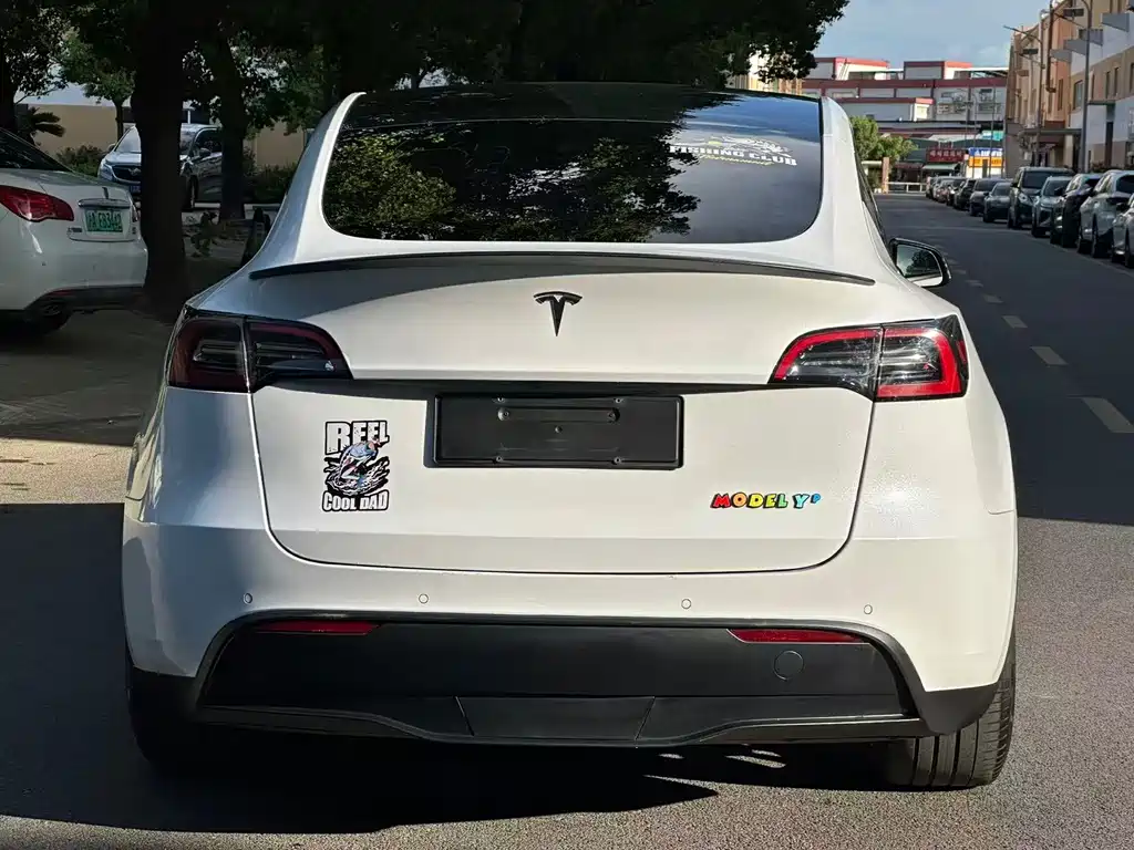 Tesla Model Y — миниатюра 13
