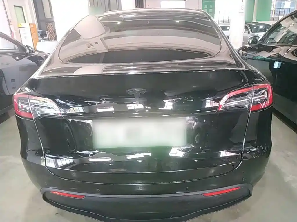 Tesla Model Y — миниатюра 6