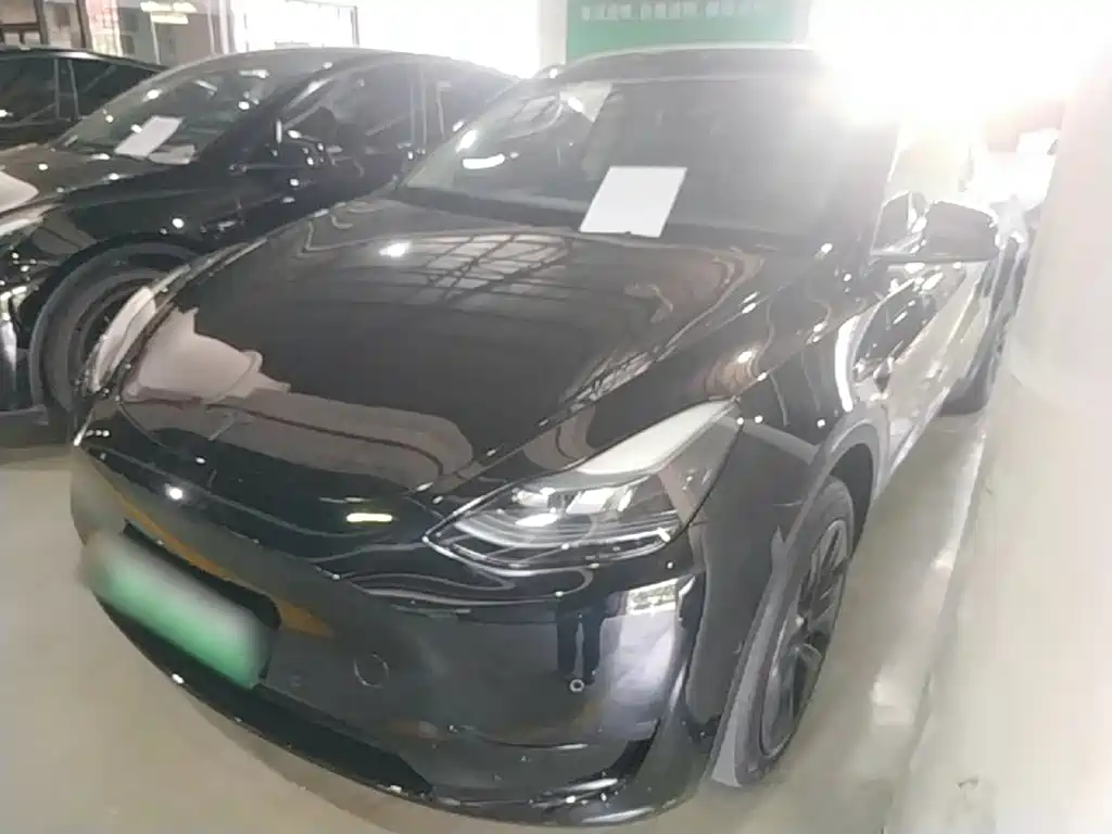 Tesla Model Y — миниатюра 2