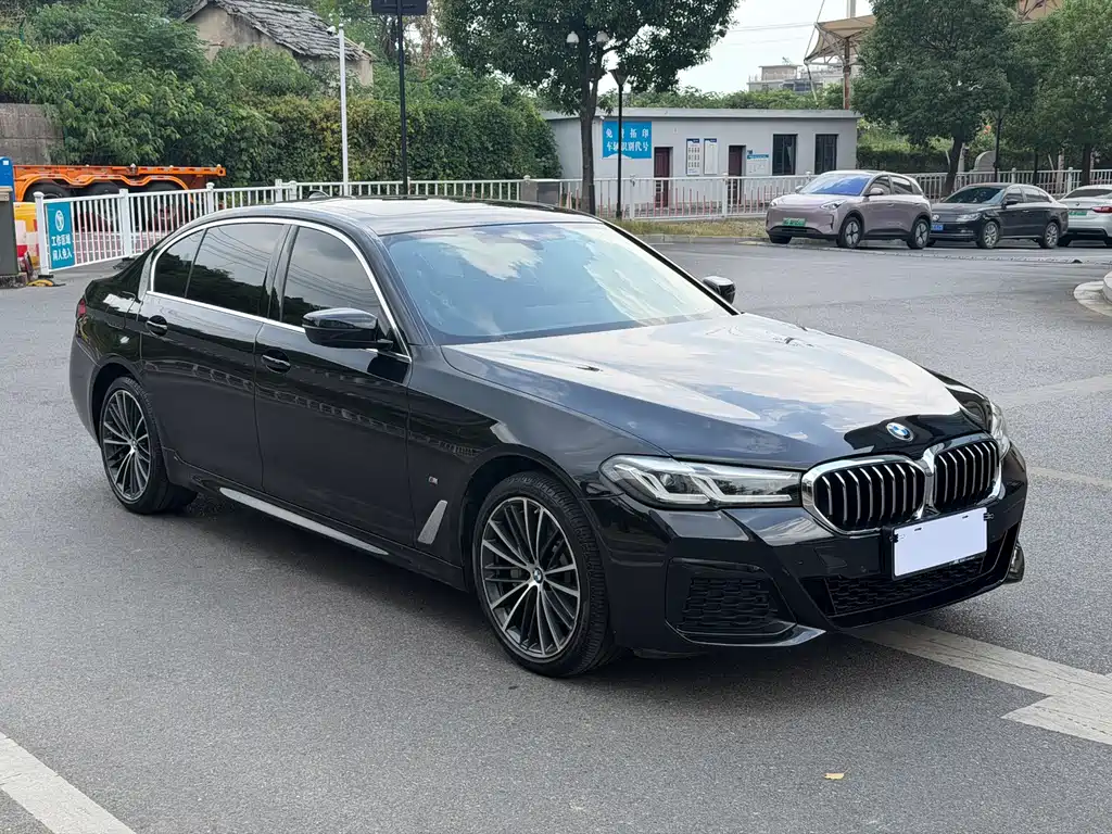 BMW 5 Series — миниатюра 2