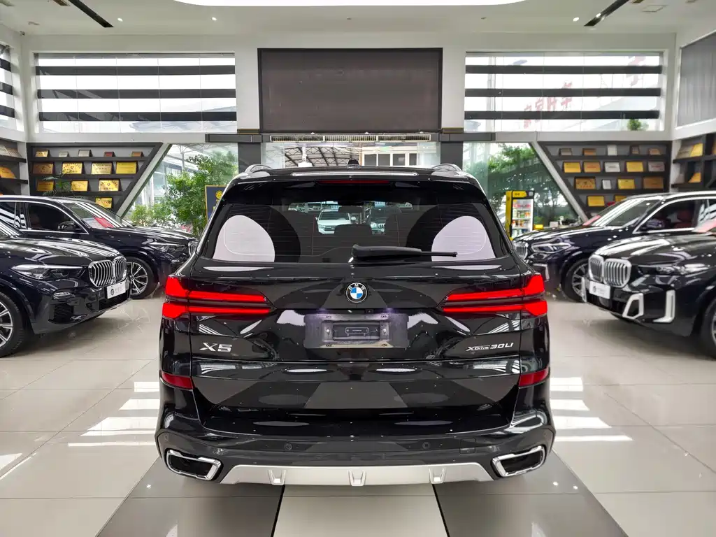 BMW X5 — миниатюра 5