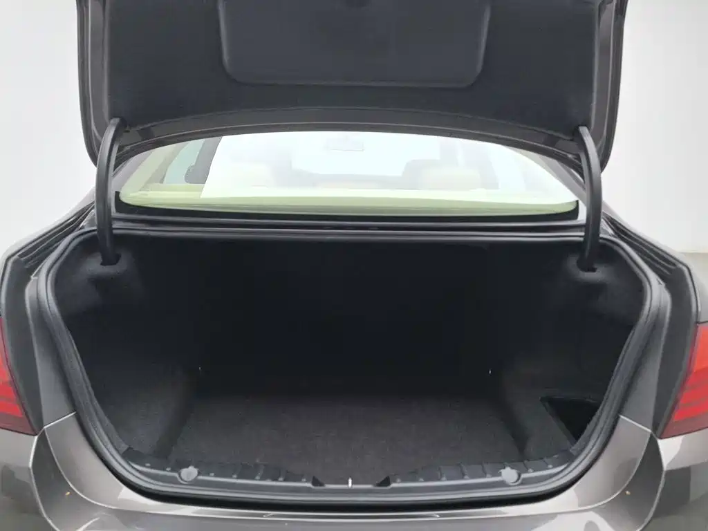 BMW 5 Series (Import) — миниатюра 16