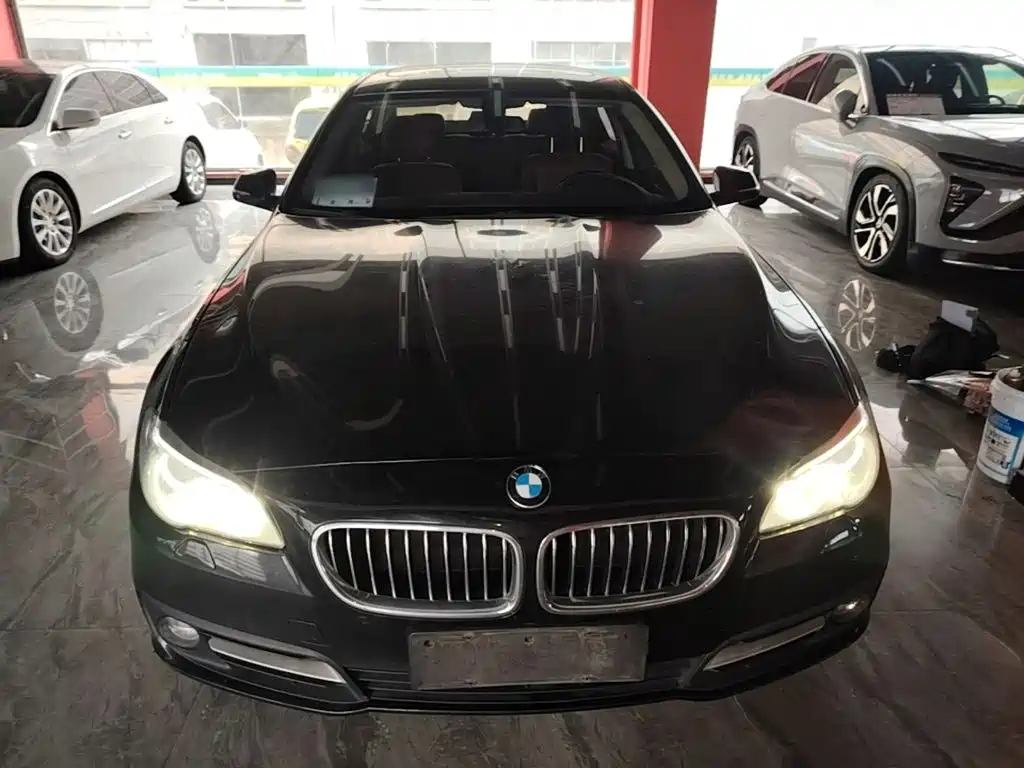 BMW 5 Series (Import) — миниатюра 3
