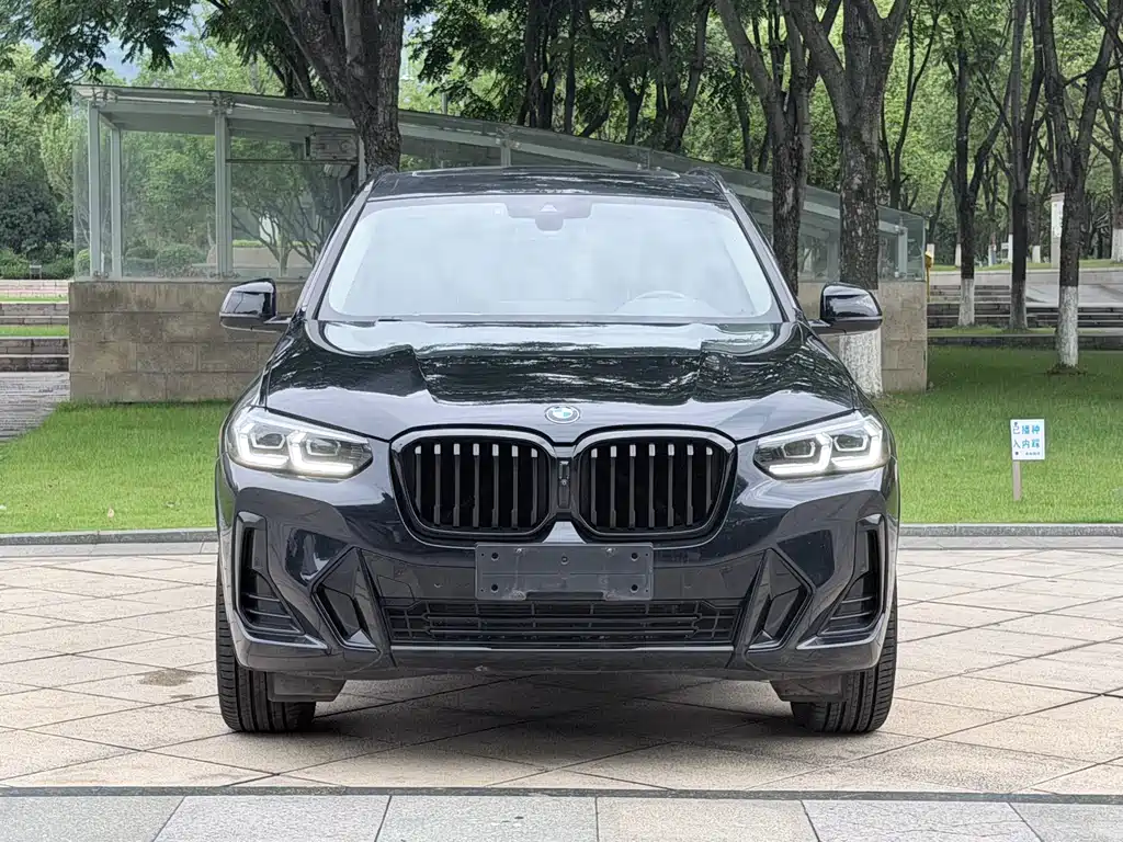 BMW X3 2023 xDrive30i Lead M