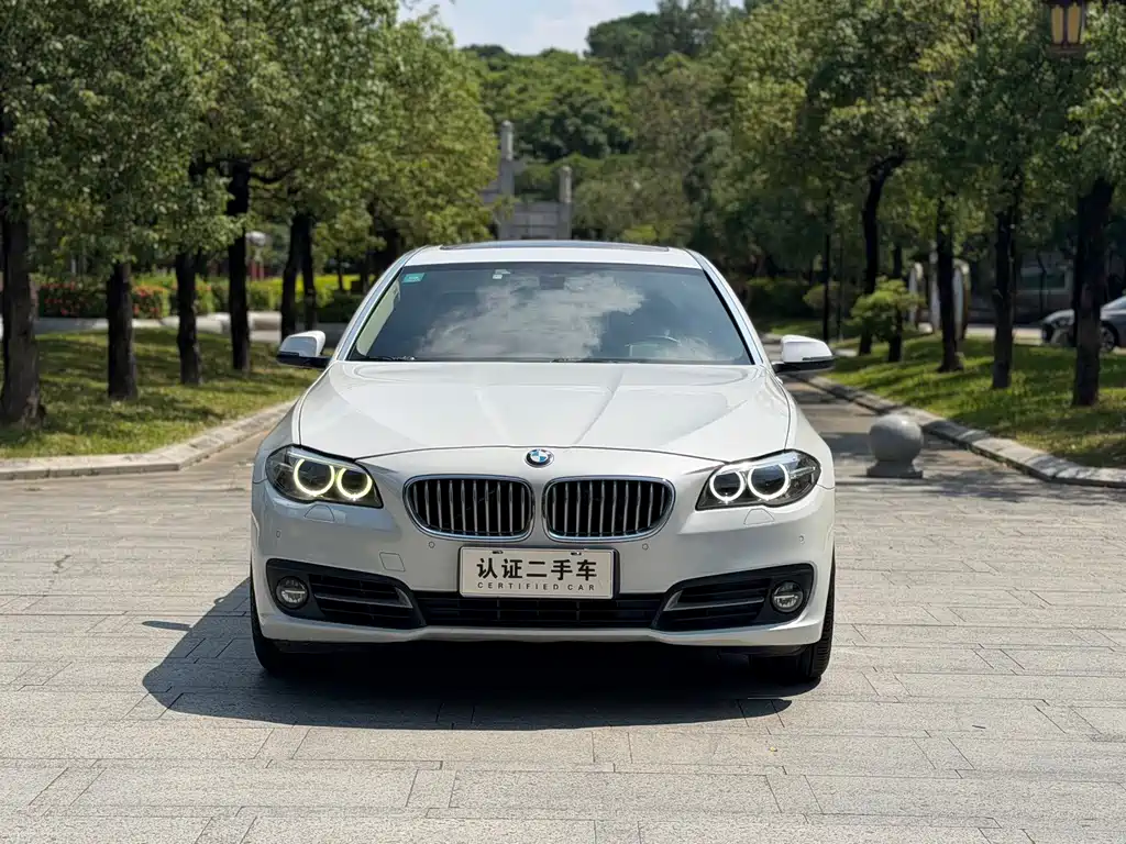 BMW 5 Series — миниатюра 2