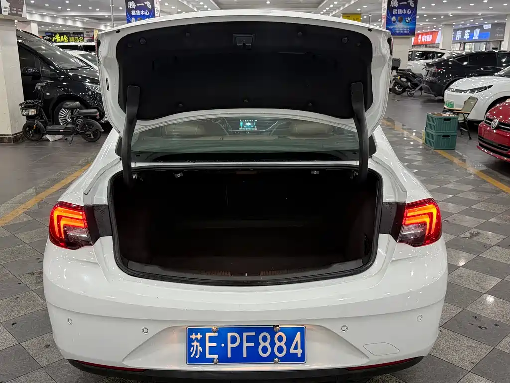 Buick Regal — миниатюра 13