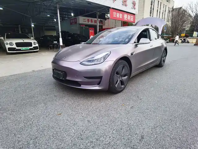 TESLA MODEL 3 2020