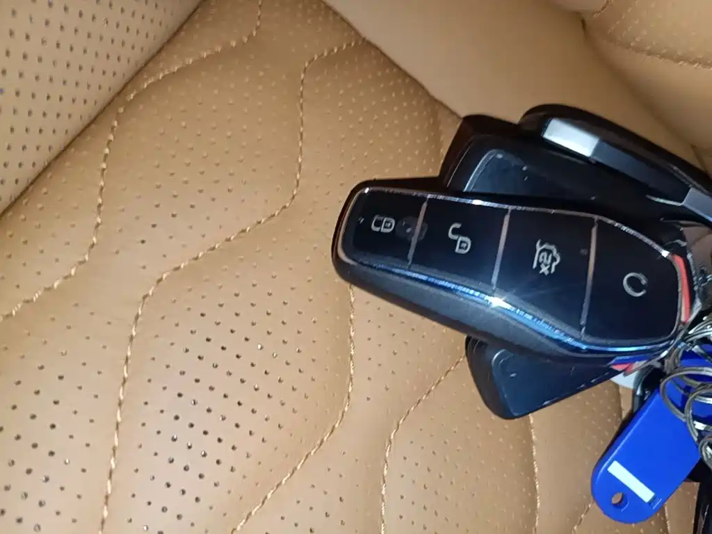 BYD Tang New Energy — миниатюра 9