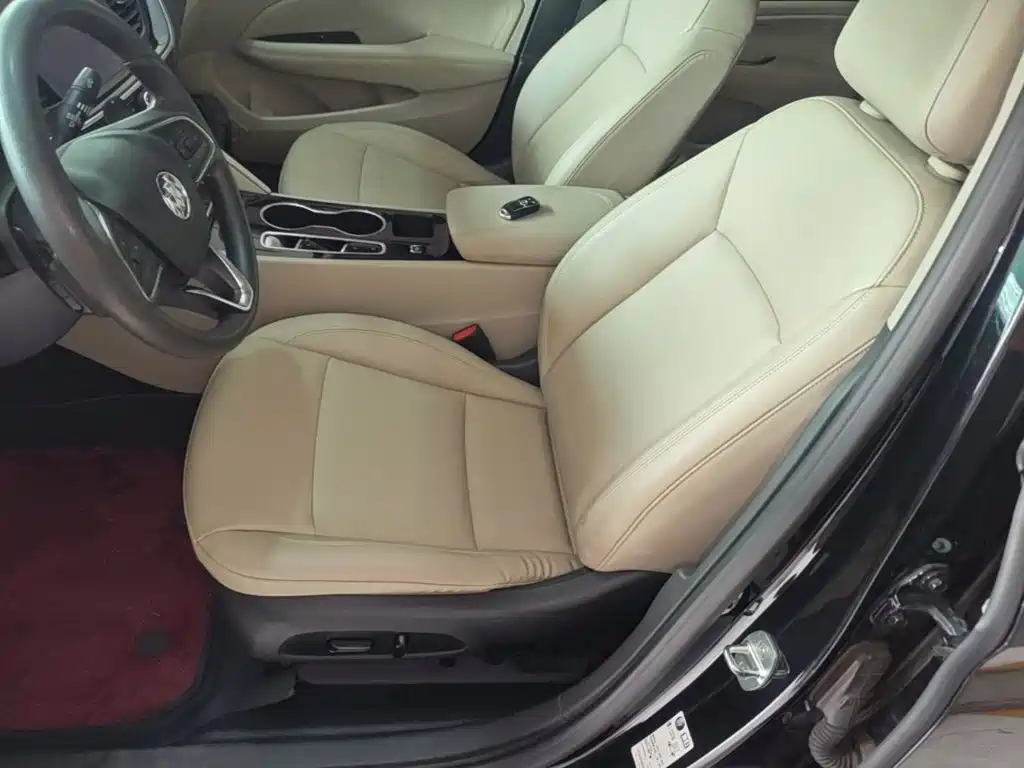 Buick Regal — миниатюра 15