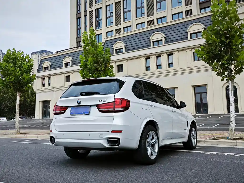 BMW X5 (Import) — миниатюра 17