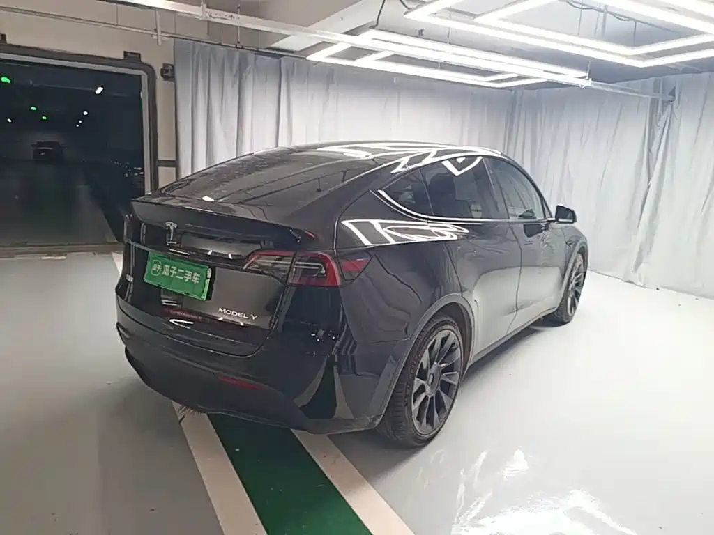 Tesla Model Y — миниатюра 7