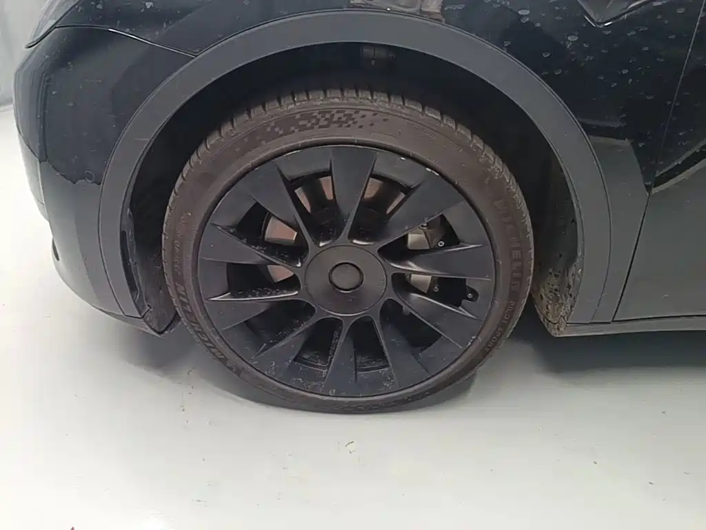 Tesla Model Y — миниатюра 23