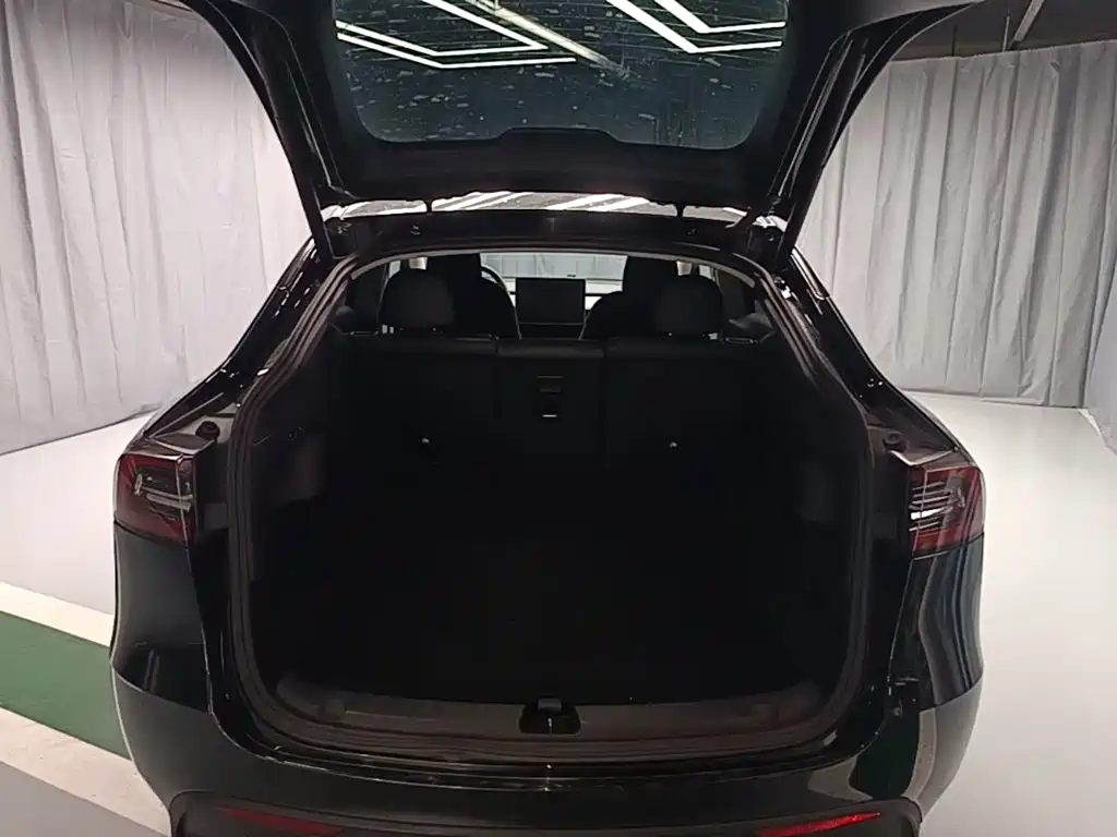 Tesla Model Y — миниатюра 19