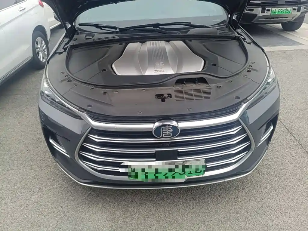 BYD Tang New Energy — миниатюра 20