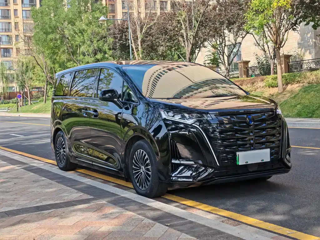 Denza Denza D9 — миниатюра 3