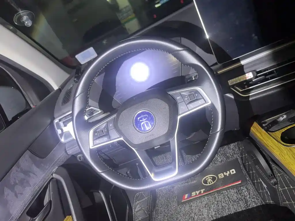 BYD Pro New Energy — миниатюра 11