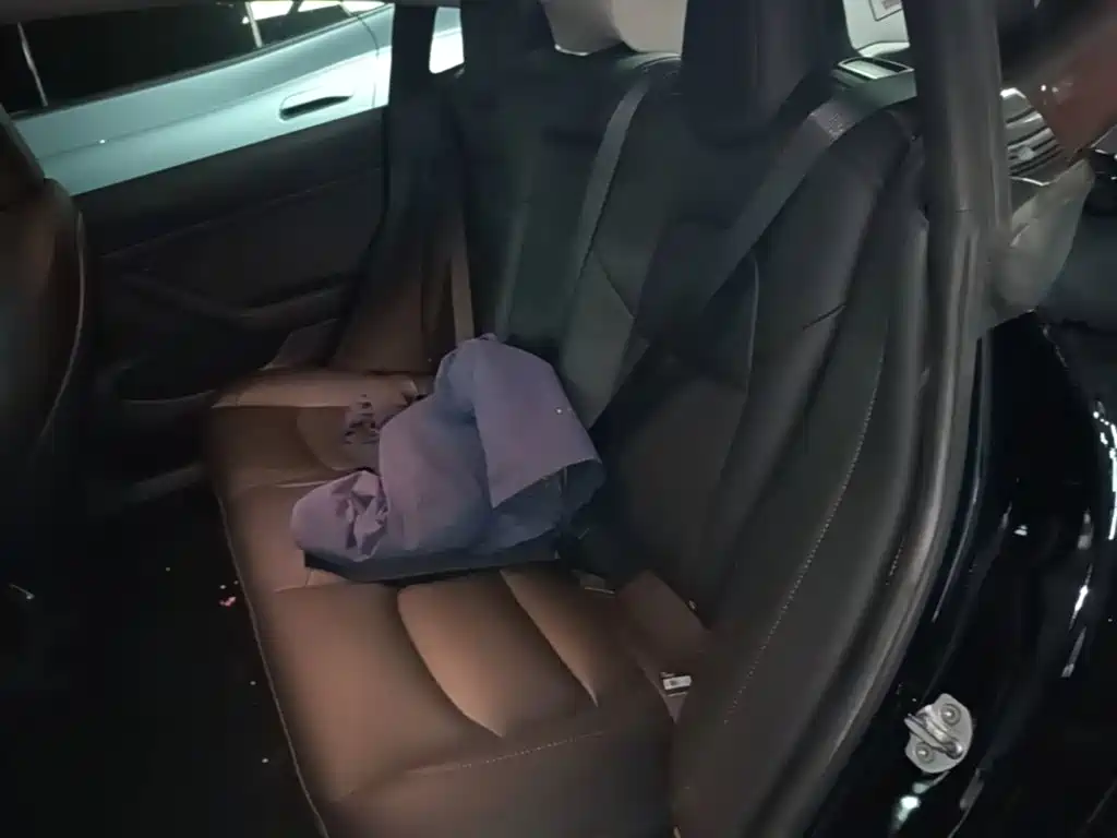 Tesla Model 3 — миниатюра 17