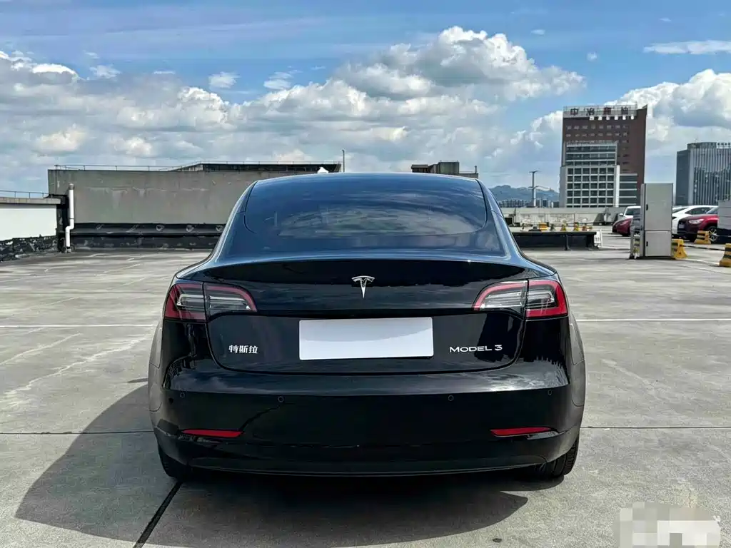 Tesla Model 3 — миниатюра 3