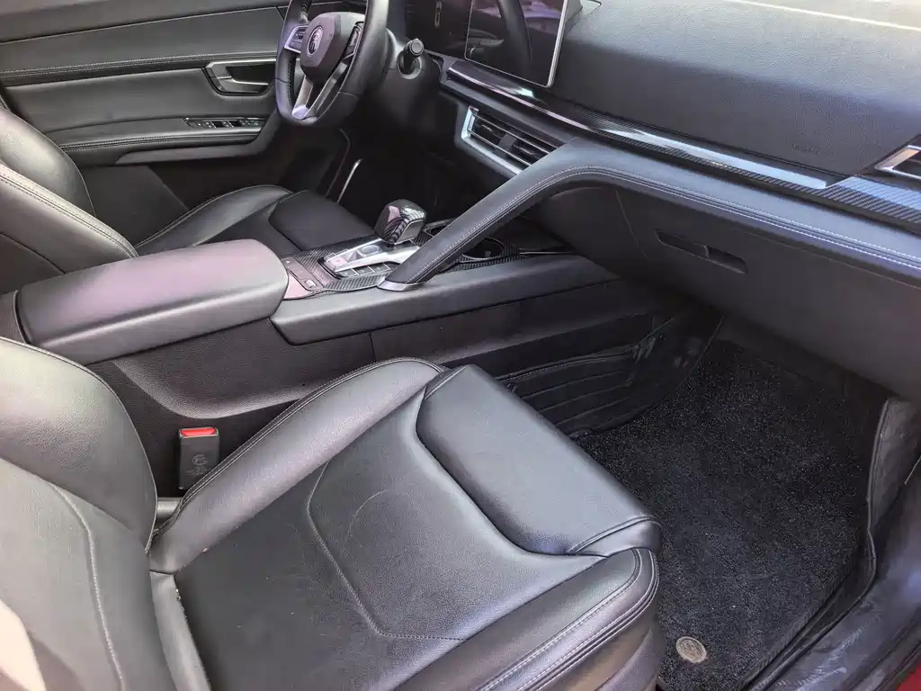 BYD Pro — миниатюра 10